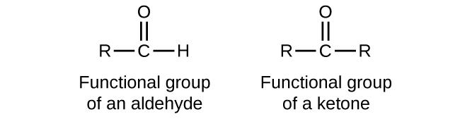 <p>compounds that both contain <strong>carbonyl group</strong> (C=O) as their functional group, with <strong>aldehydes</strong> having the carbonyl group at the <strong>end of a carbon</strong> chain and <strong>ketones</strong> having it <strong>within the chain.</strong></p>