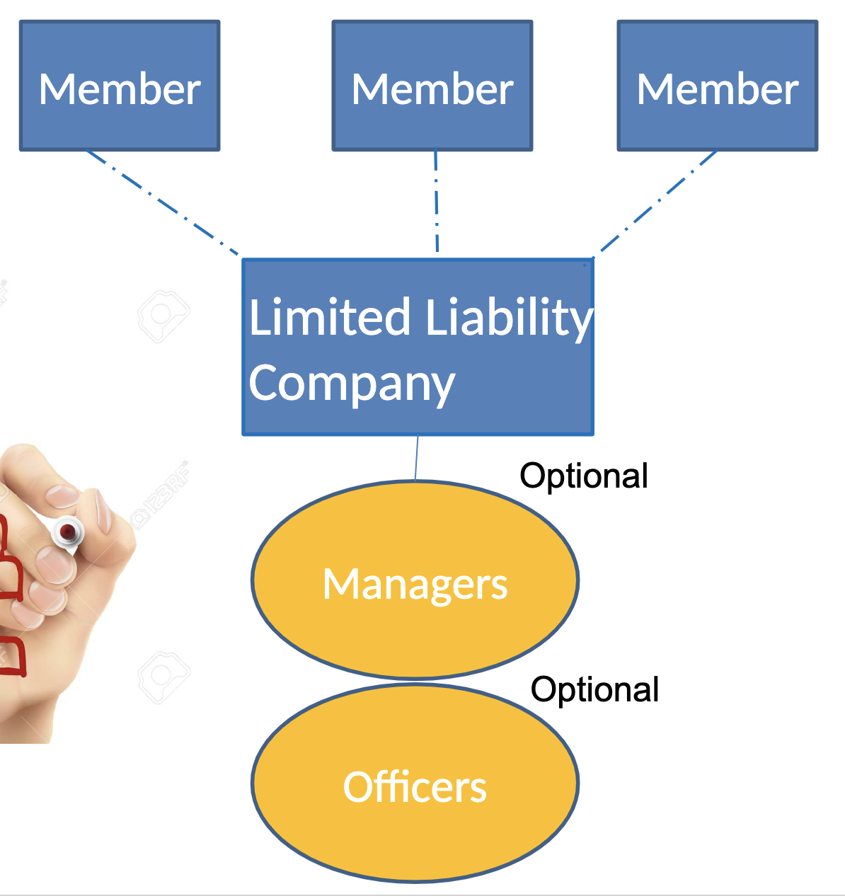 <p>Comprised of “members” with with OPTION of adding managers and officers </p>