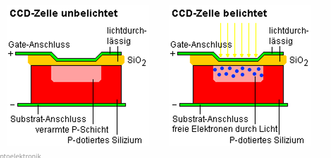 <p><strong>CCD = Charge Coupled Device (ladungsgekoppeltes Bauelement)</strong><br>→ Ein <strong>lichtempfindlicher Bildsensor</strong>, der einfallendes Licht in elektrische Signale umwandelt.</p><div data-type="horizontalRule"><hr></div><p><strong>Aufbau:</strong></p><ul><li><p><strong>Matrix aus lichtempfindlichen Pixeln</strong> auf einem Silizium-Chip</p></li><li><p>Jedes Pixel besteht aus einer <strong>Fotodiode</strong>, die Licht in <strong>elektrische Ladung</strong> (Elektron-Loch-Paare) umwandelt</p></li><li><p>Darüber: <strong>Isolierschicht + transparente Gate-Elektroden</strong></p><p></p></li></ul><p><strong>Funktionsprinzip:</strong></p><ol><li><p><strong>Belichtung:</strong><br>Licht trifft auf die Pixel → <strong>Ladung sammelt sich</strong> im Potentialtopf (je nach Lichtintensität)</p></li><li><p><strong>Ladungstransport (Auslesen):</strong><br>Die gespeicherten Ladungen werden <strong>taktweise</strong> durch benachbarte Pixel weitergereicht („coupled“)<br>→ Zeile für Zeile bis zum Verstärker</p></li><li><p><strong>Wandlung &amp; Verarbeitung:</strong><br>Die gesammelte Ladung wird in <strong>Spannung umgewandelt</strong> und anschließend digitalisiert.</p><p></p></li></ol><p><strong>Merkmale:</strong></p><ul><li><p><strong>Hohe Bildqualität</strong>, geringe Verzerrung</p></li><li><p><strong>Langsamer</strong> als CMOS, aber rauschärmer</p></li><li><p>Verwendet z. B. in <strong>Kameras</strong>, <strong>Mikroskopen</strong>, <strong>astronomischer Bildgebung</strong></p></li></ul><p></p>
