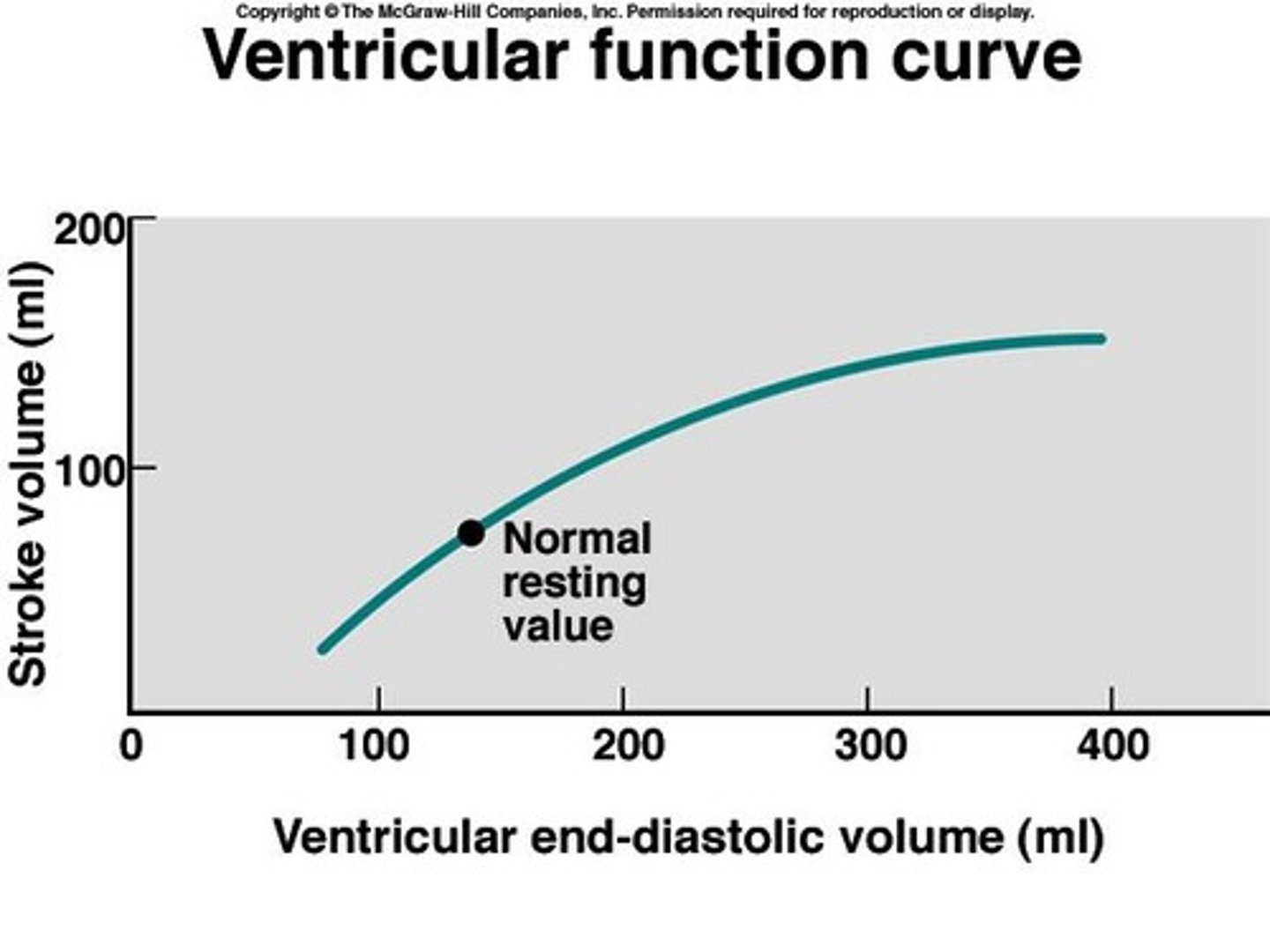 <p>Increased stretch leads to increased contraction force.</p>