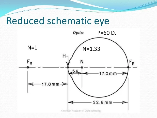 <p>a. Simple model of the eye, based on one equivalent lens with optical power of 60 dpt</p>