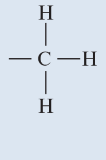 <p>Found in proteins and nucleic acids</p>