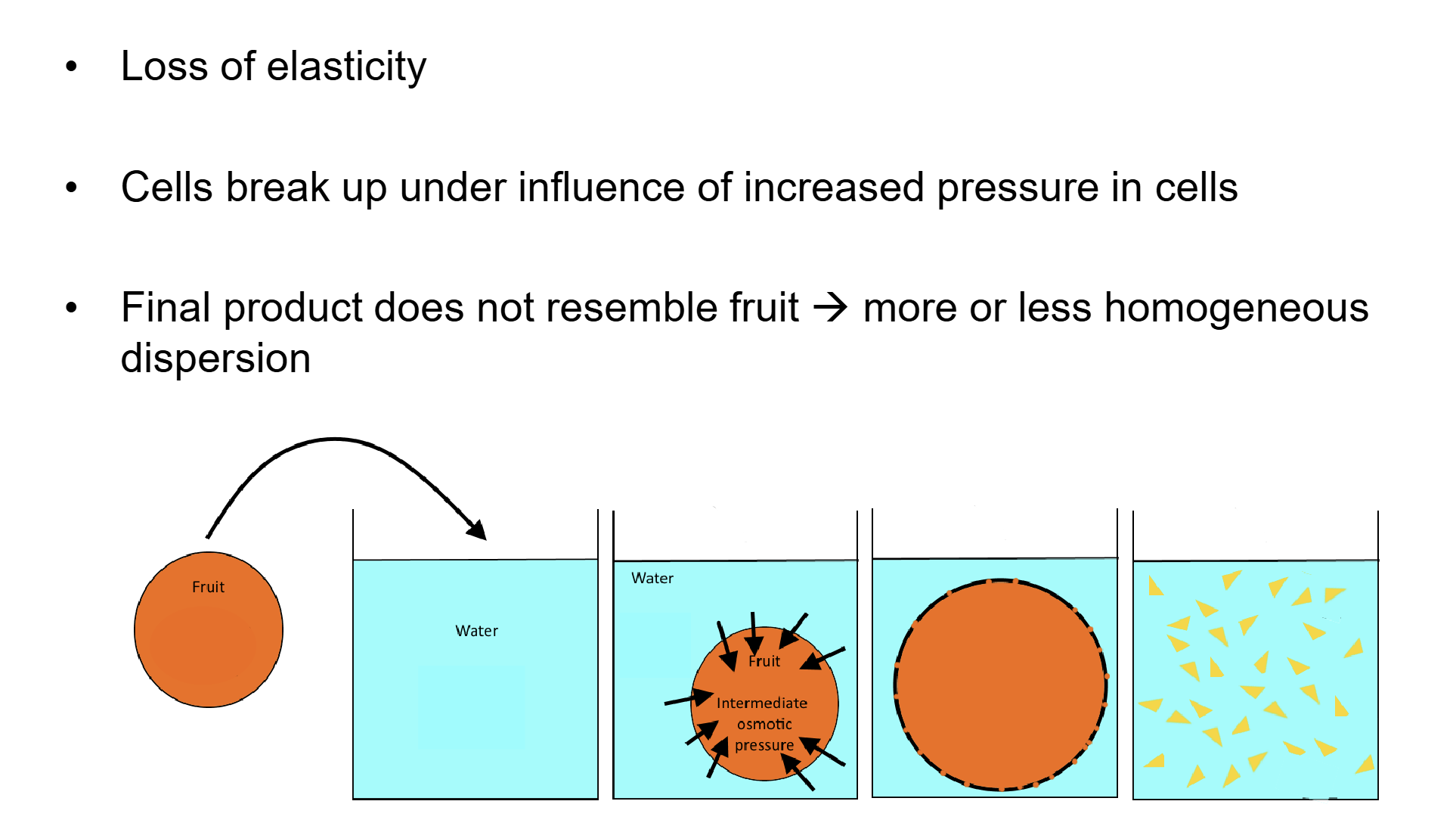 <p><span style="color: #ffffff">Texture of fruit cooked in water vs. concentrated sugar solution<br>→ big difference<br>– Cook fruit in sugar solution → shrivels but stays intact<br>– Cook fruit in water → completely disintegrates<br>• Difference caused by water transport through osmosis</span></p><p><span style="color: transparent"><br></span></p>