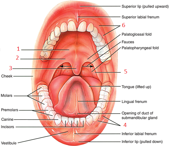 <p>Wat is 3</p>