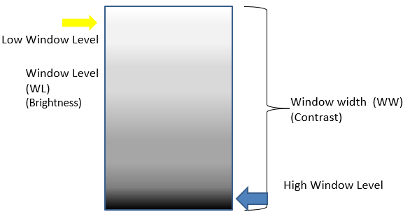 <ul><li><p><span>used to adjust the contrast and brightness of the image</span></p></li><li><p><span>window level = controls brightness, the center of window range </span></p></li><li><p><span>window width = controls contrast</span></p></li></ul><p></p>