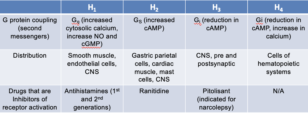 <p>G protein coupling (second messengers):</p><ul><li><p>Gi — eduction in cAMP</p></li></ul><p>distribution:</p><ul><li><p>CNS</p></li><li><p>pre and postsynaptic</p></li></ul><p>drugs that are inhibitors of receptor activation:</p><ul><li><p>Pitolisant (indicated for narcolepsy)</p></li></ul>