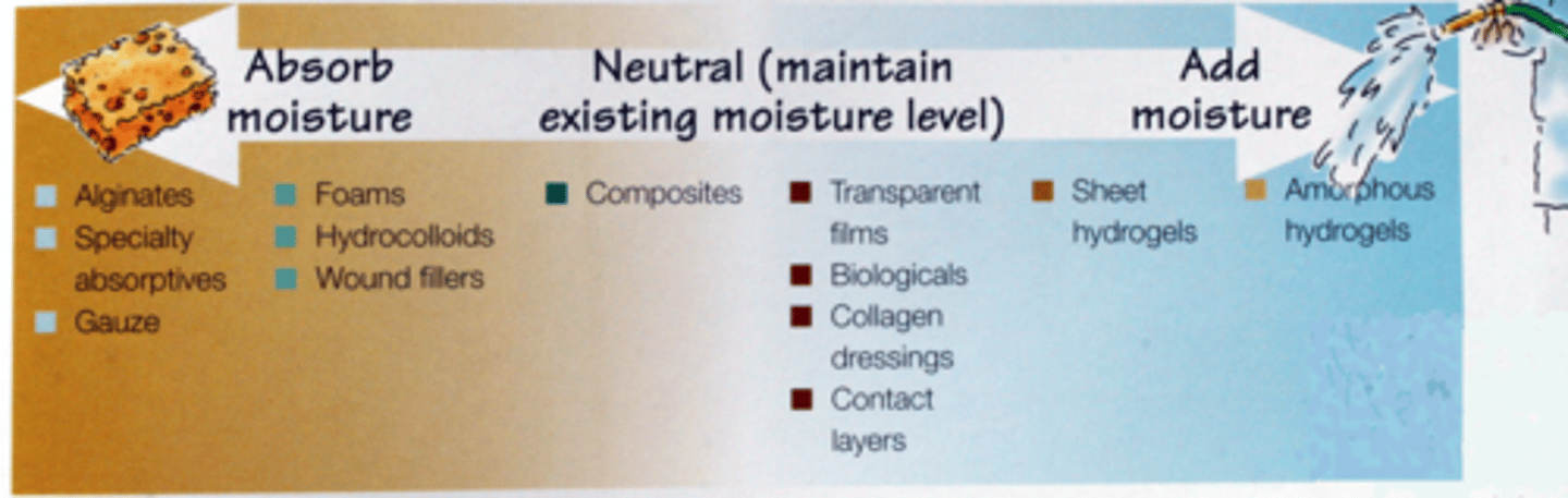 <p>-alginates</p><p>-specialty absorptives</p><p>-gauze</p><p>-foams</p><p>-hydrocolloids</p><p>-wound fillers</p><p>-honey</p>