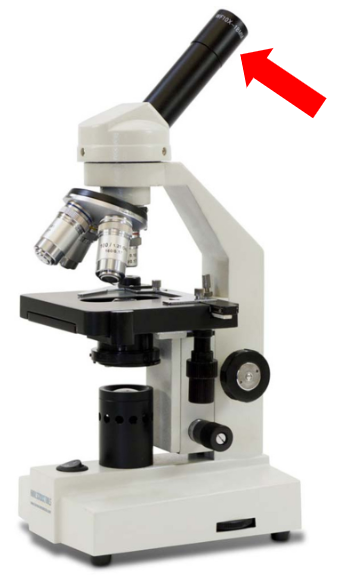 <p>What is this part called?</p>