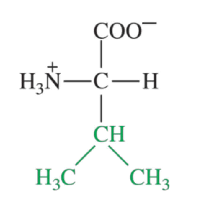 <p>What amino acid is shown in the image?</p>