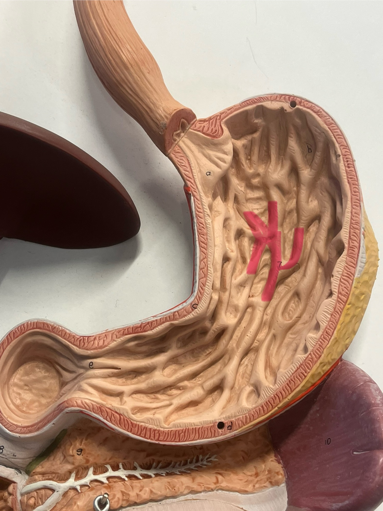 <p>What is this?</p>