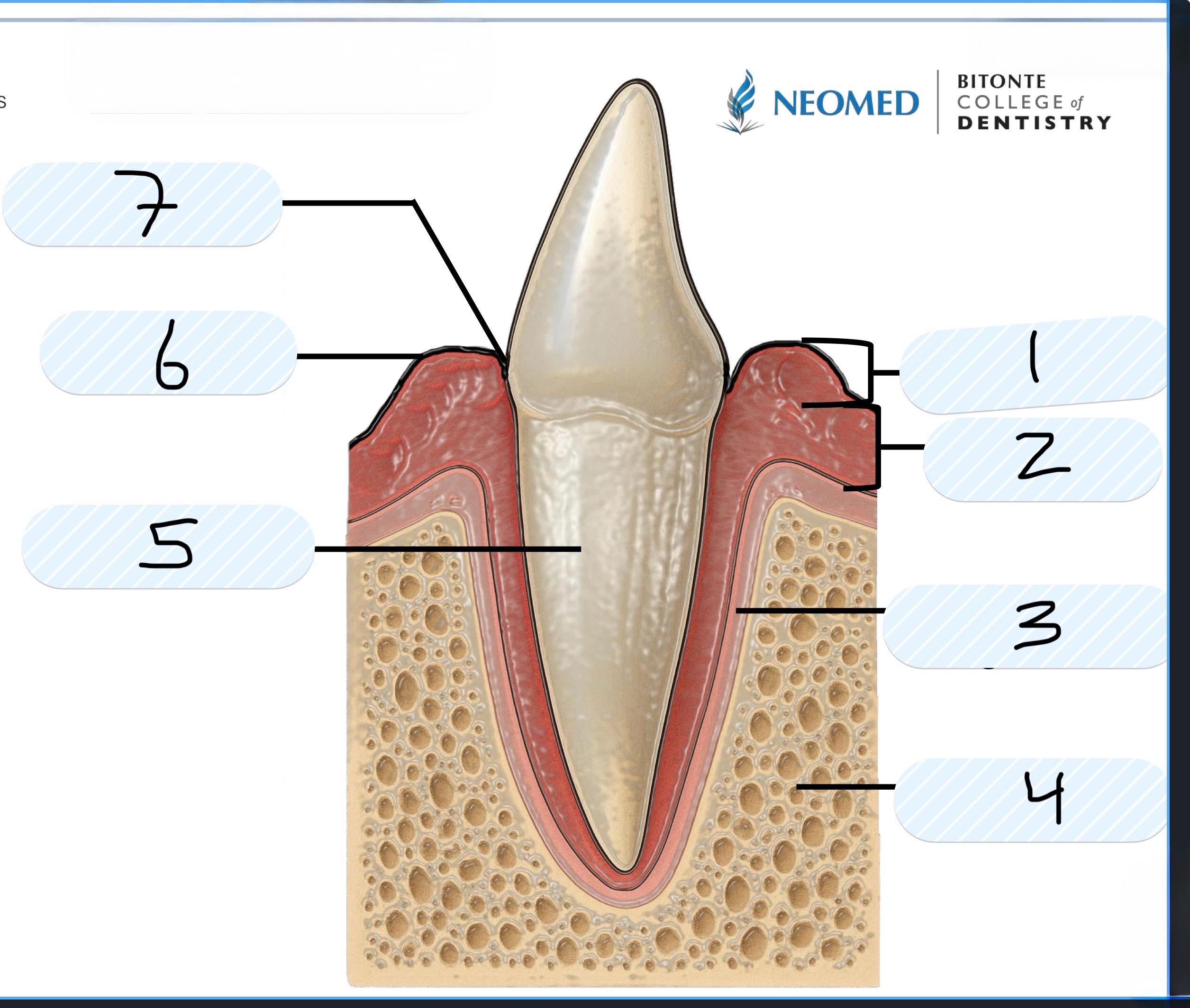 <p>What is number 1?</p>