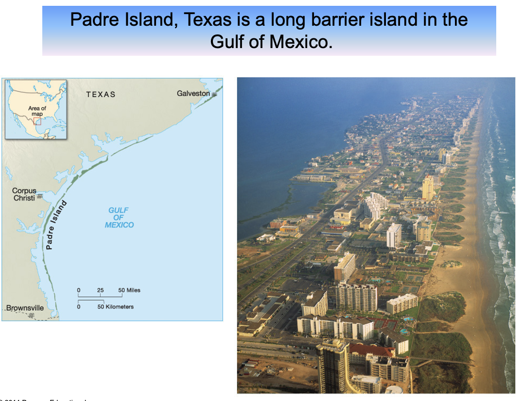 <p><span>The long, narrow depositional features, generally of sand, that form offshore roughly parallel to the coast are <strong>barrier beaches. </strong>When these features are broader and more extensive, they form <strong>barrier islands</strong></span></p>