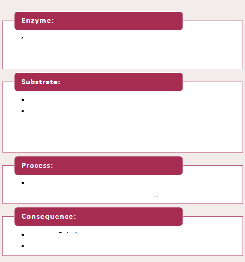 <p>Fill in this for phase II reactions</p>