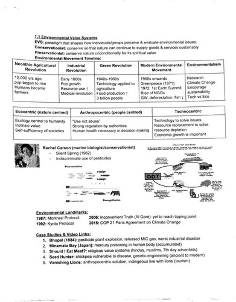 <p>Paradigm that shapes how individuals/groups perceive & evaluate environmental issues.</p>