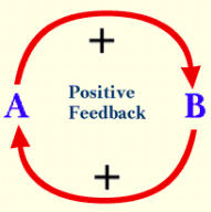 <p>Positive Feedback</p>