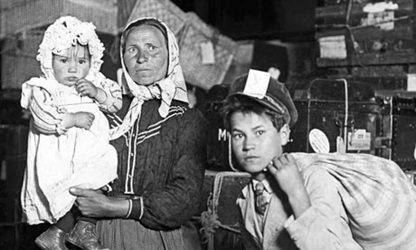 <p>yímín - to immigrate / an immigrant</p>