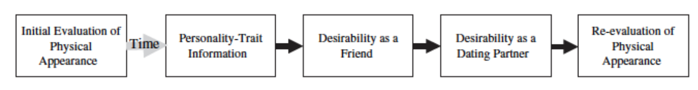 <p>If you know someone has a personality trait that is considered attractive, it will influence how attractive you find them</p><ul><li><p>Participants presented with series of photos which they rated for attractiveness</p></li><li><p>Then saw each photo again, paired with a desirable or undesirable personality trait</p></li><li><p>DVs:</p><ul><li><p>How much would you like this person as a friend?</p></li><li><p>As a romantic partner?</p></li><li><p>How physically attractive is this person?</p></li></ul></li><li><p>Photos paired with desirable traits rated as more attractive than the first time (and photos paired with undesirable traits were seen as less attractive)</p><ul><li><p>Regardless of initial attractiveness rating</p></li><li><p>For both women and men</p><ul><li><p>For women rating undesirable traits was slightly stronger</p></li></ul></li></ul></li><li><p>Conclusion: A good personality can make someone appear more physically attractive</p></li></ul>