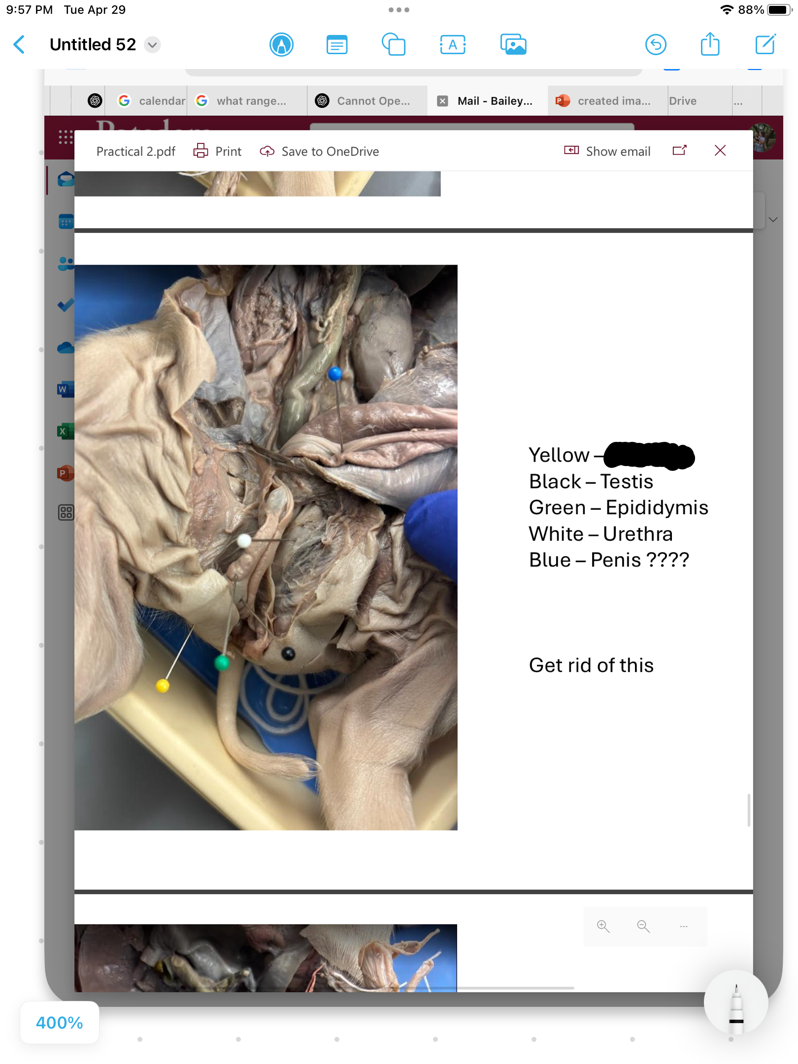 <p>label the area</p>