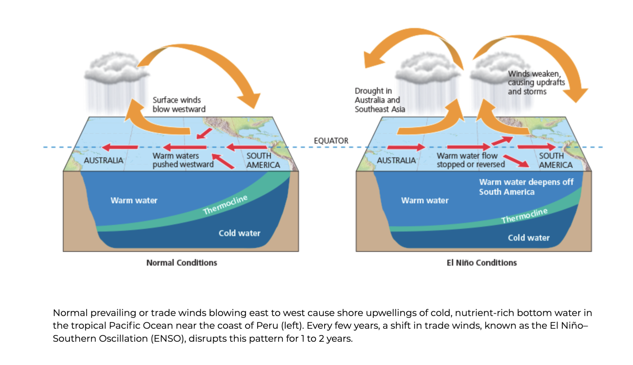 <p><span><strong>The Oceans and the Atmosphere are Strongly Linked</strong></span></p>