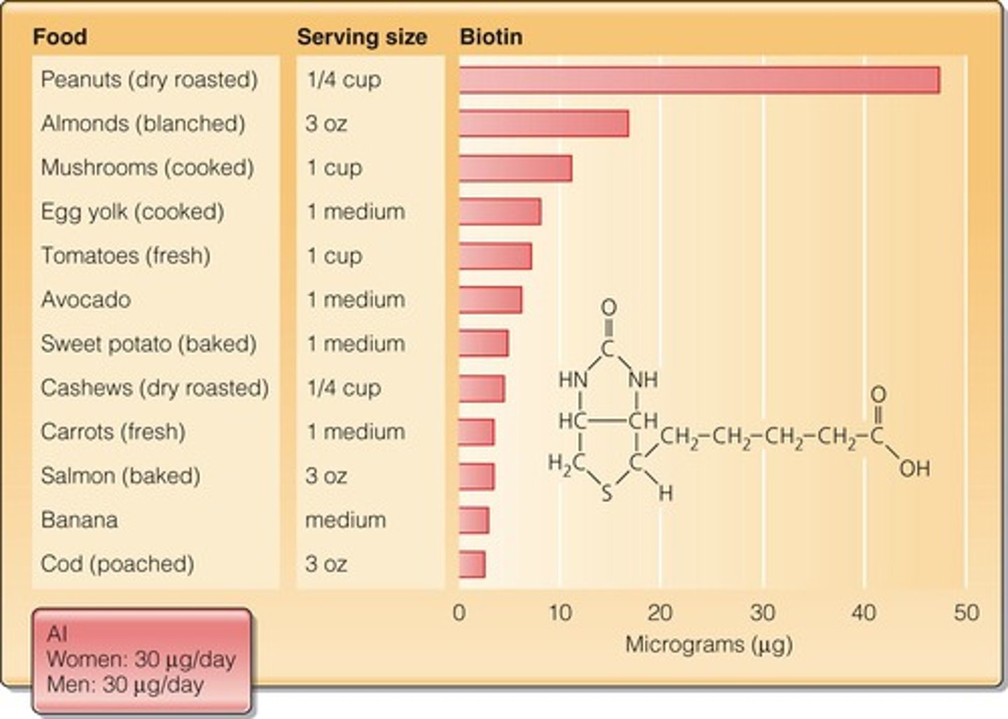 <p>It is a coenzyme involved in energy metabolism and gluconeogenesis.</p>