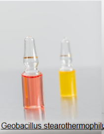 <p>What is this and what does it do?</p>