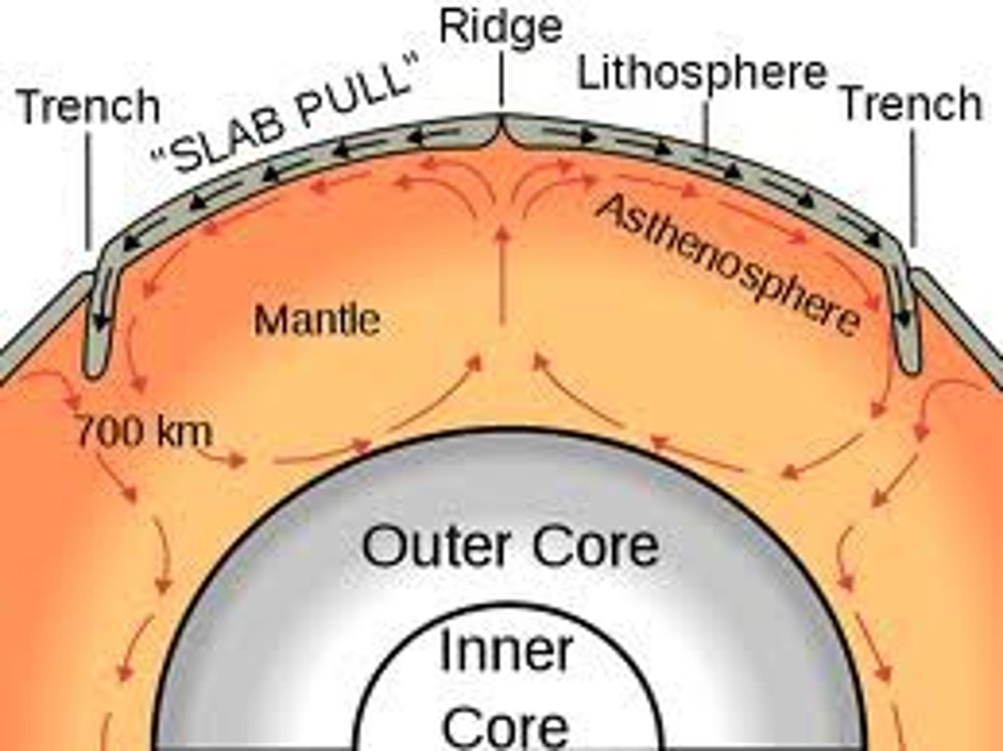 <p>the pulling of a tectonic plate as its edge subducts deep into the mantle</p>