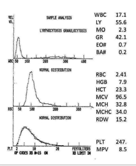 <p>what can be said about the granulocytes in this graph?</p>
