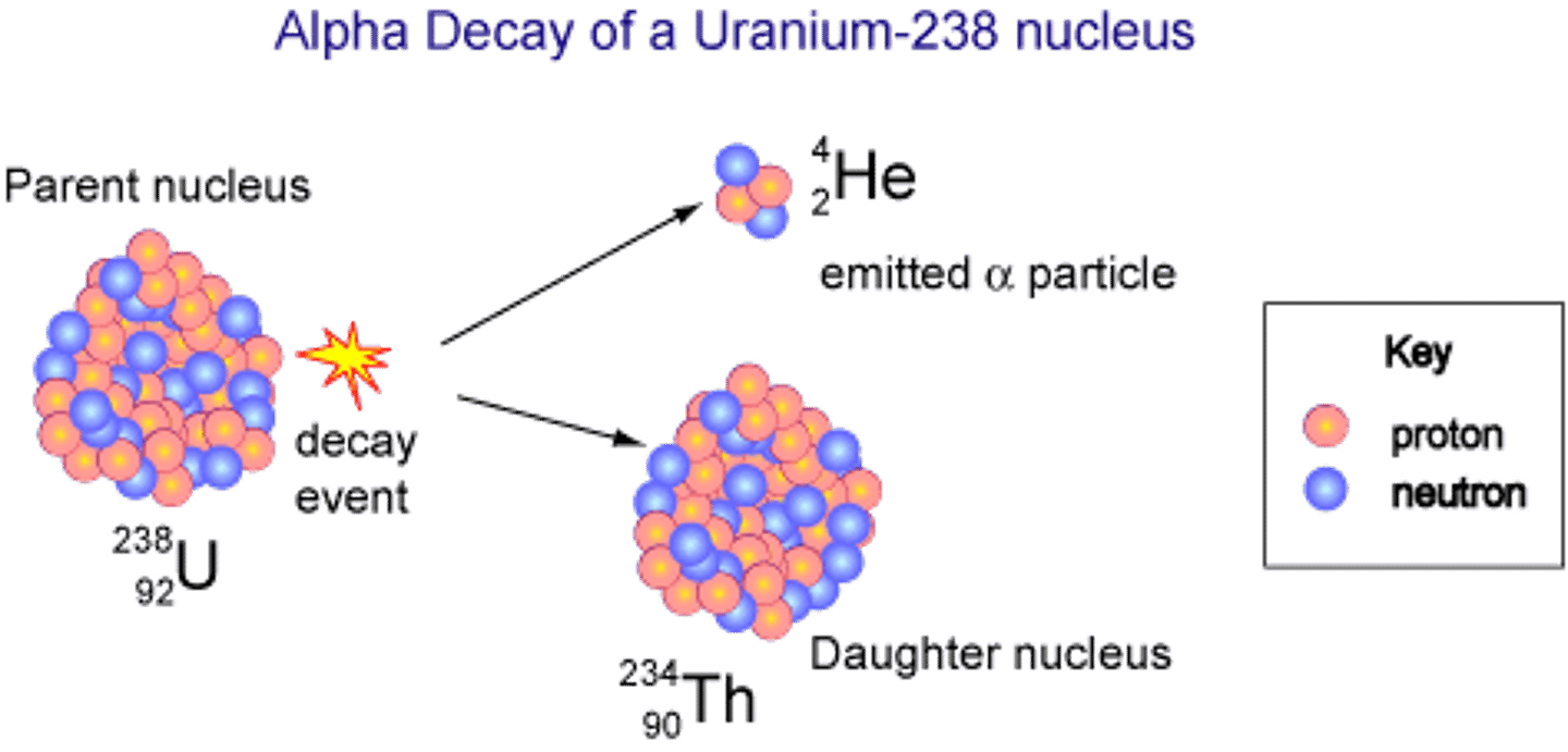 <p>(B) Alpha particle, alpha-decay</p>