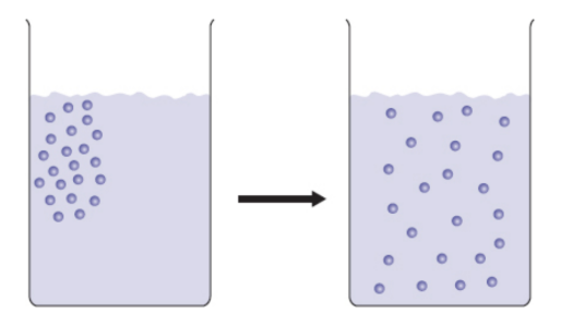 <p>movement of molecules from high concentration to low concentration through a medium (such as air or water); heavier gases diffuse more slowly than lighter ones because of their differing average speeds</p>