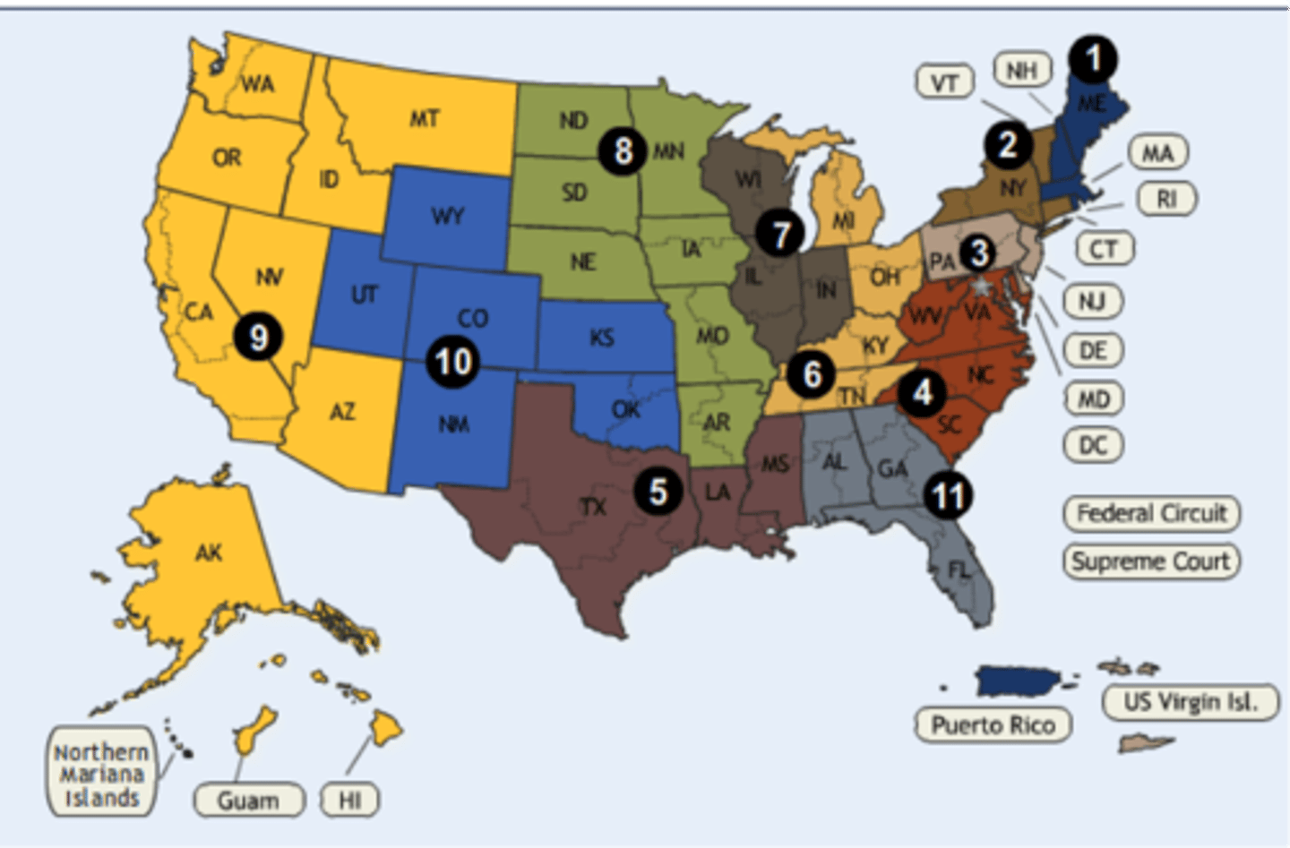 <p>Federal courts that review decision of federal district courts, regulatory commissions, and other federal courts.</p>