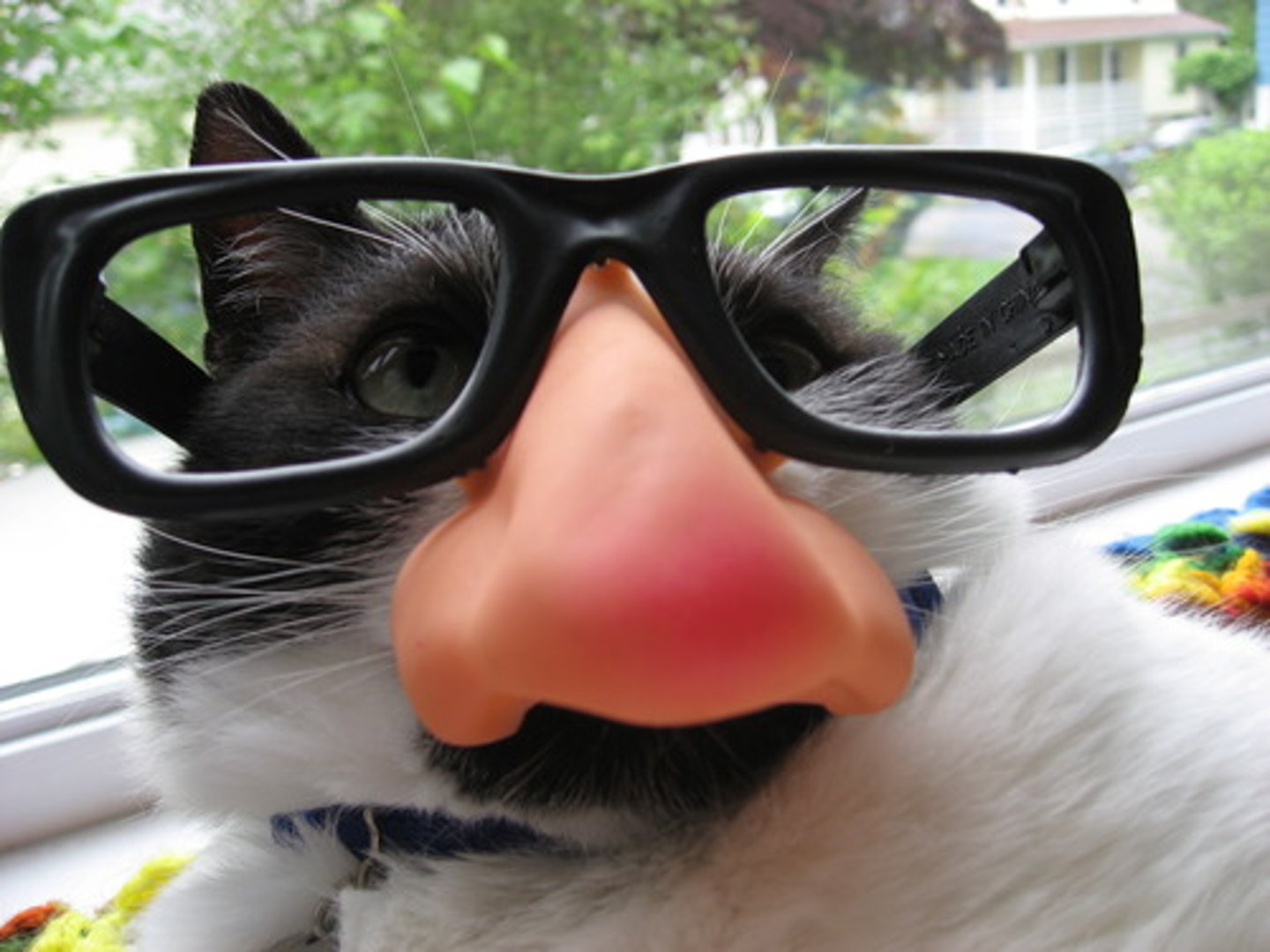<p>How ridiculous!</p>