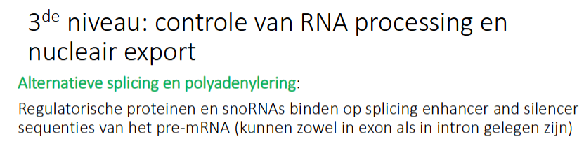 <p>Regulatorische proteïnen en snoRNAs binden op splicing enhancer en silencer sequenties van het pre-mRNA (kunnen zoxel in exon als intron gelegen zijn)</p>