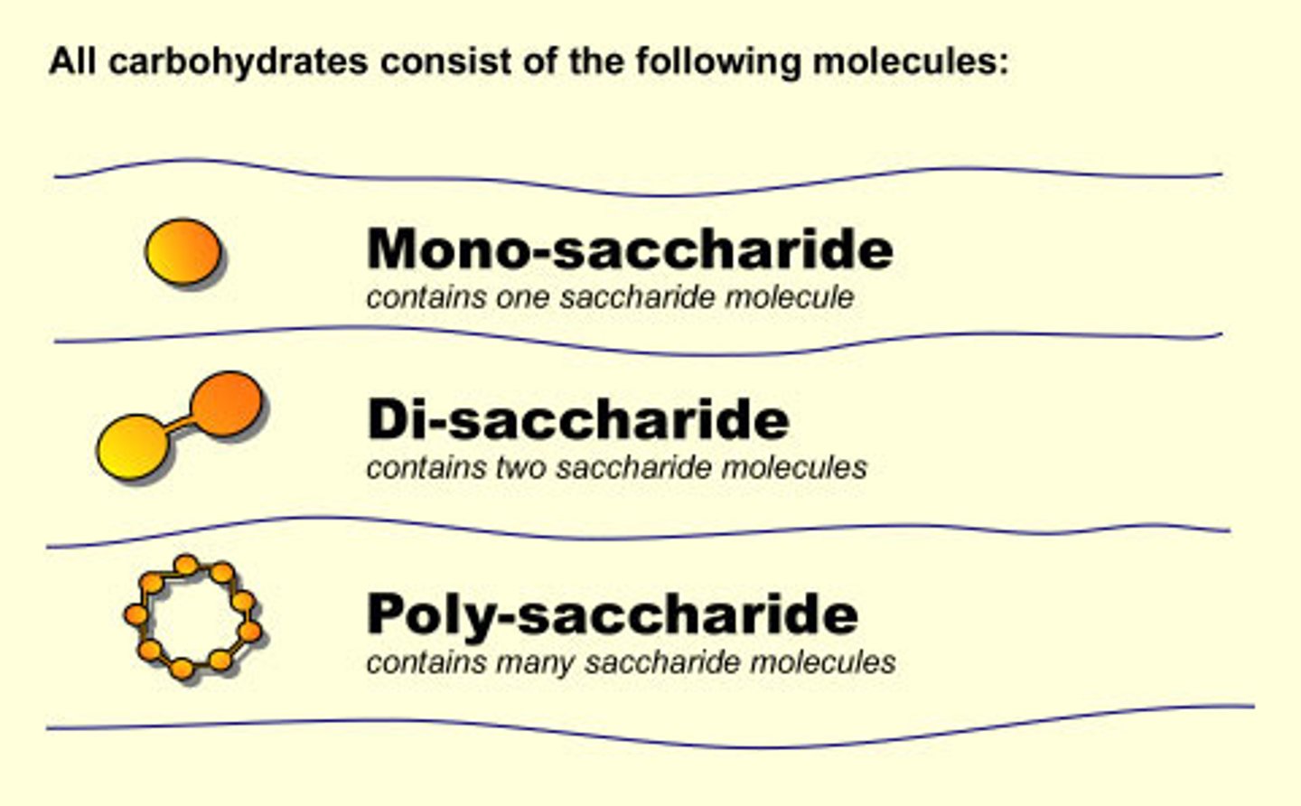 <p>Plants: starch (energy) and cellulose (structure)</p><p>Animals: glycogen (energy) and chitin (structure)</p>