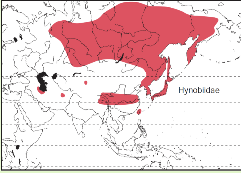 <p><span>Asia, from Ural Mountains to Pacific (including Japan and Taiwan), south to China, Afghanistan, and Iran</span></p>
