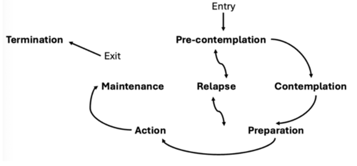 <p>How someone progresses through stages of change</p>