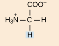 <p>nonpolar,aliphatic R group</p>