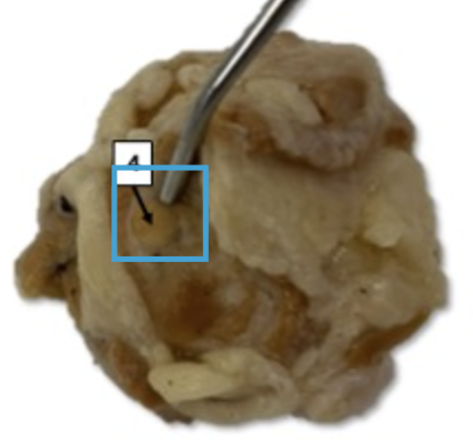 <p>What is this highlighted figure?</p>