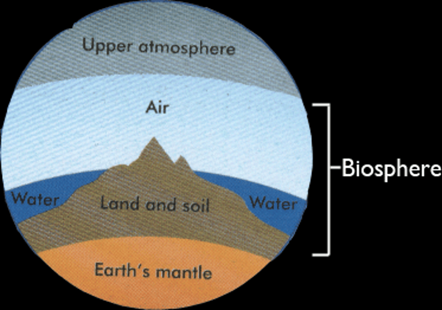 <p>the parts of Earth where life exists- the surface, air, water</p>