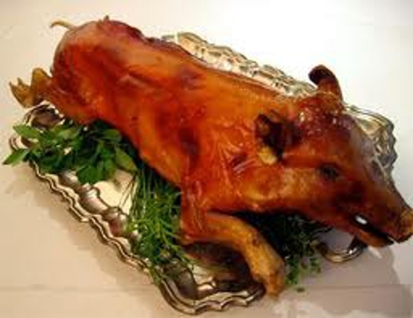 <p>suckling pig</p>