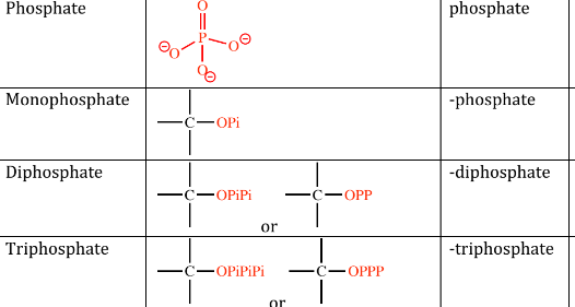 <p>they are frequently abbreviated as Pi or even just “P”</p>