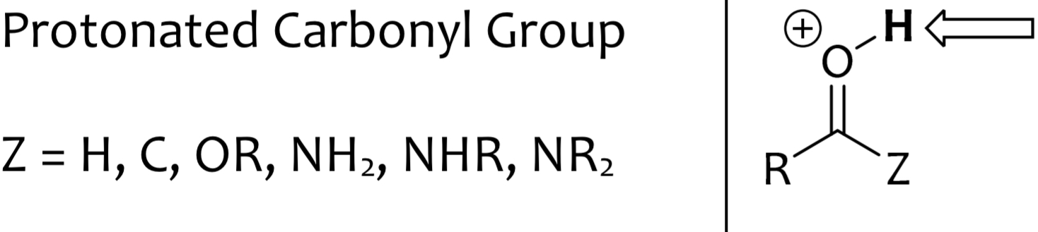 <p>protonated carbonyl group</p>