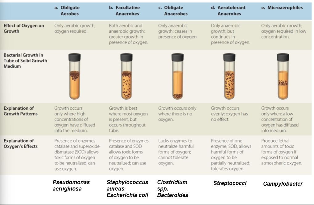 <ul><li><p>obligate aerobes</p></li><li><p>facultative anaerobes</p></li><li><p>obligate anaerobes e.g metronidazole in wounds- low oxygen</p></li><li><p>aerotolerant anaerobes</p></li><li><p>microaeophiles</p></li></ul><p></p>