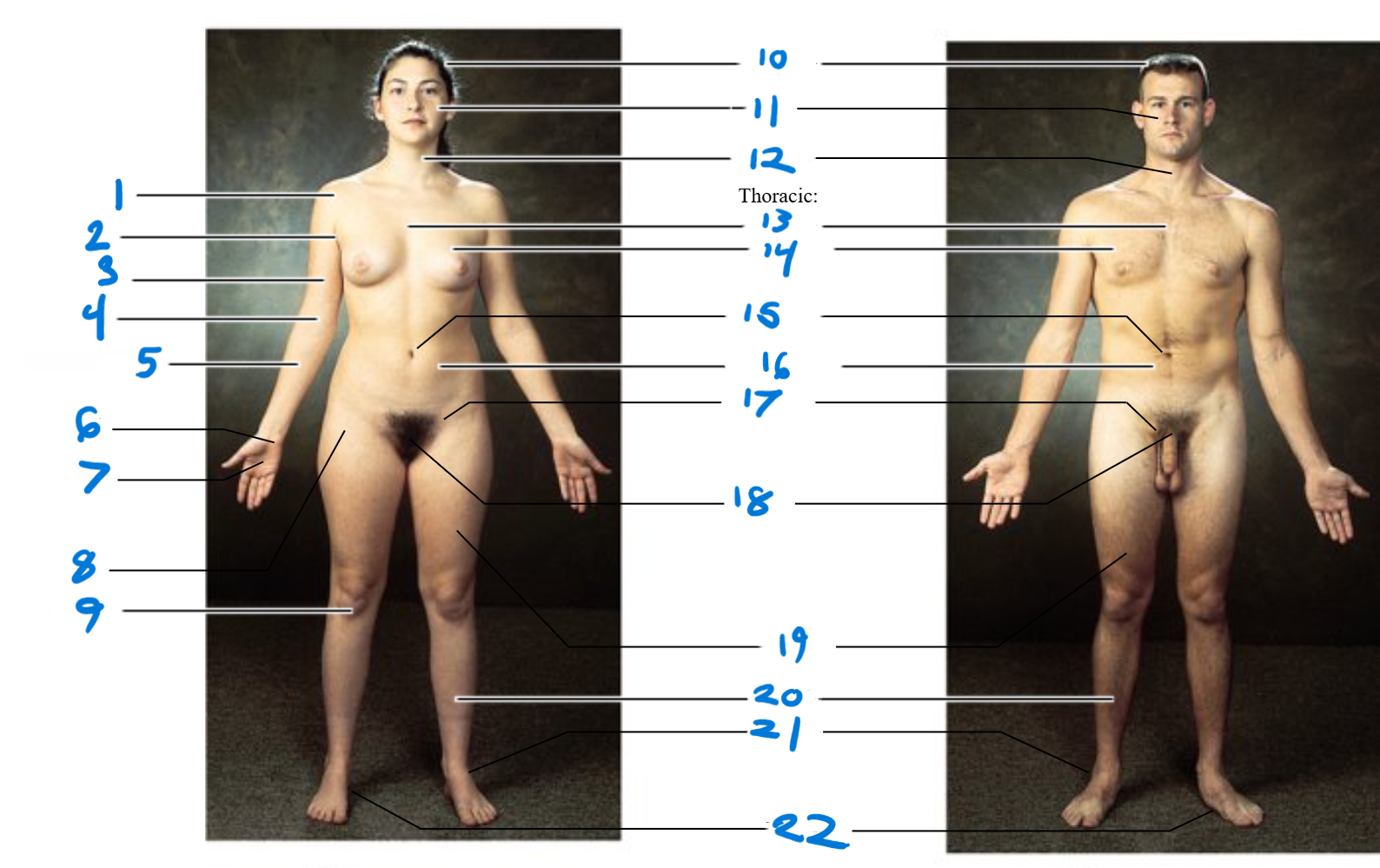 <p>13</p>