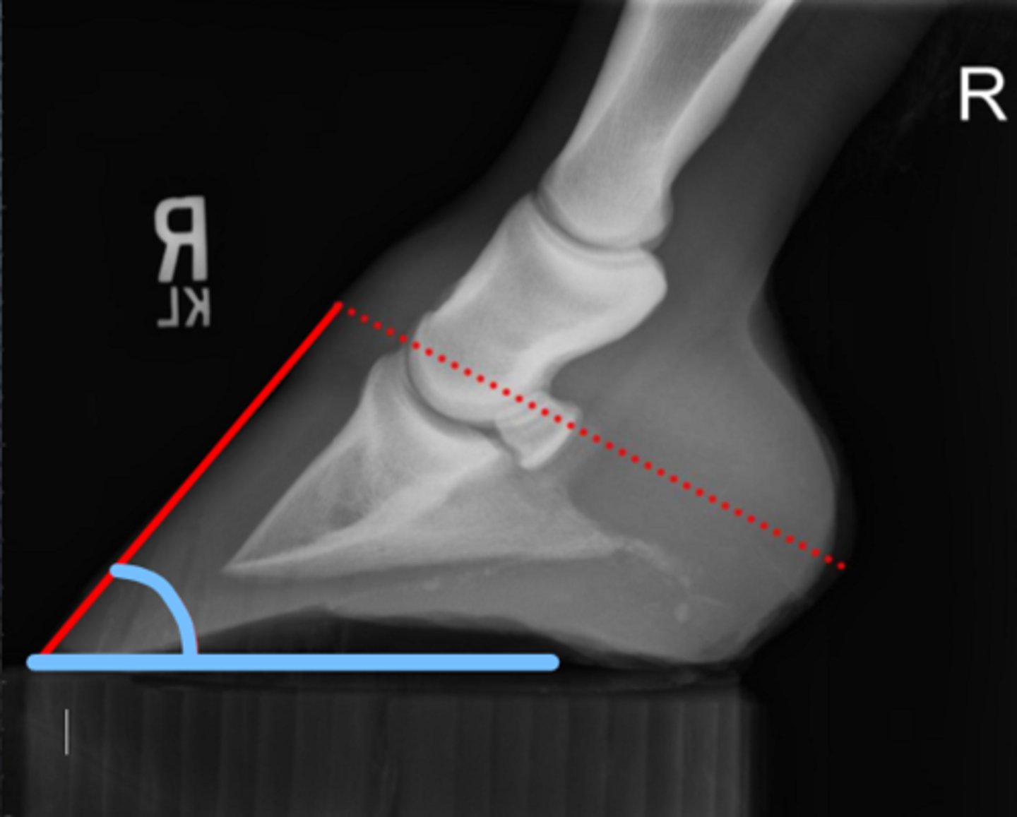 <p>What measurement is this?</p>
