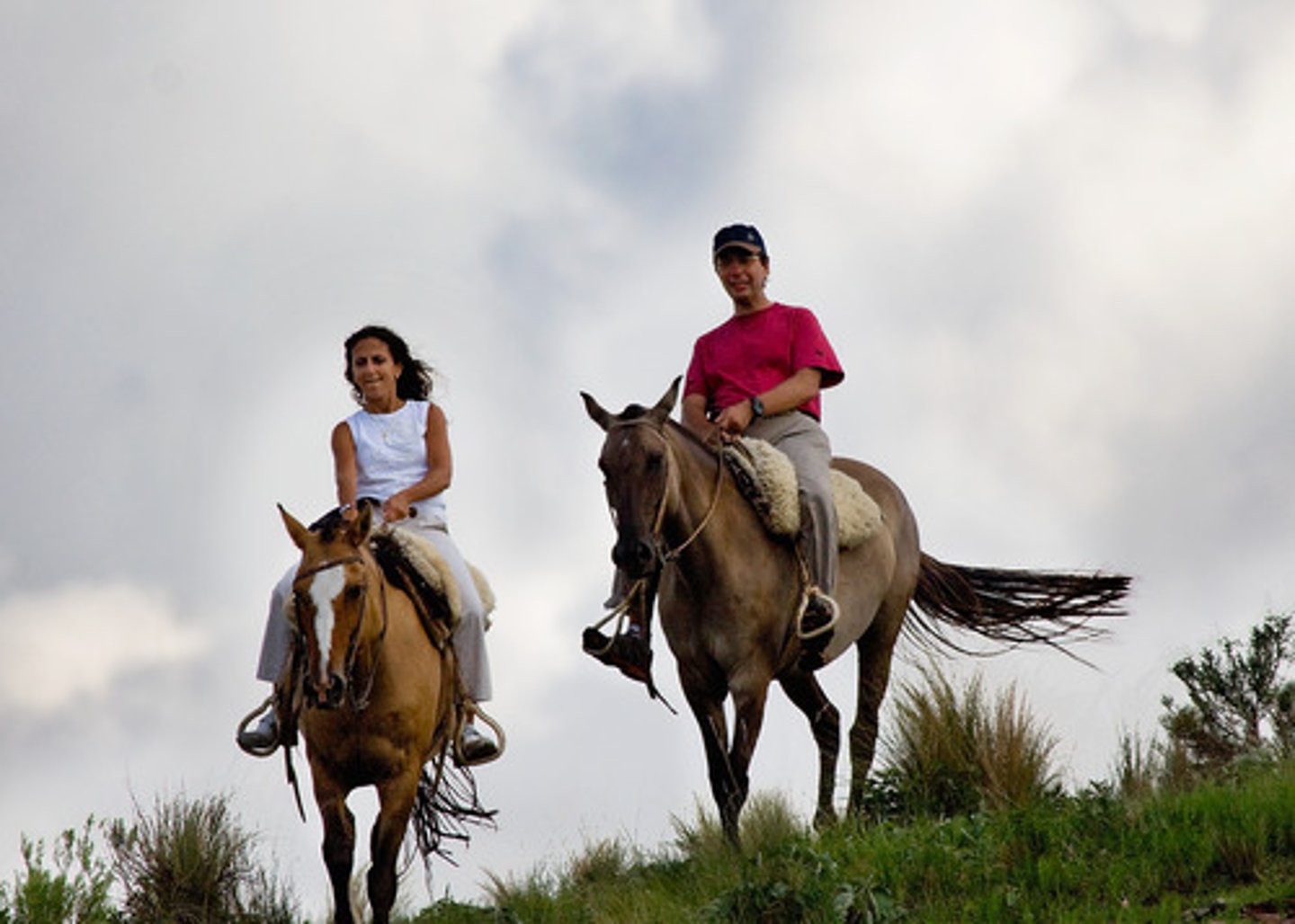 <p>to go horseback riding</p>