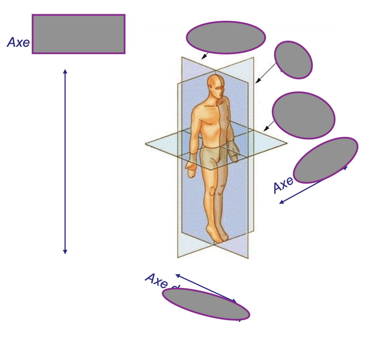 <p>Nomme</p>