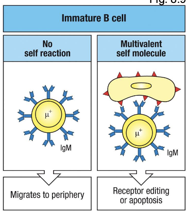 <p>left panel shows</p>