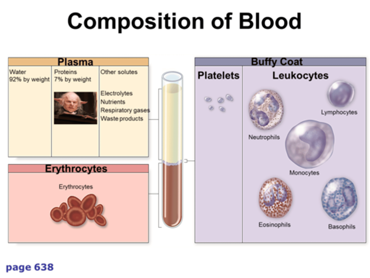 <p>protein dissolved in blood plasma</p>