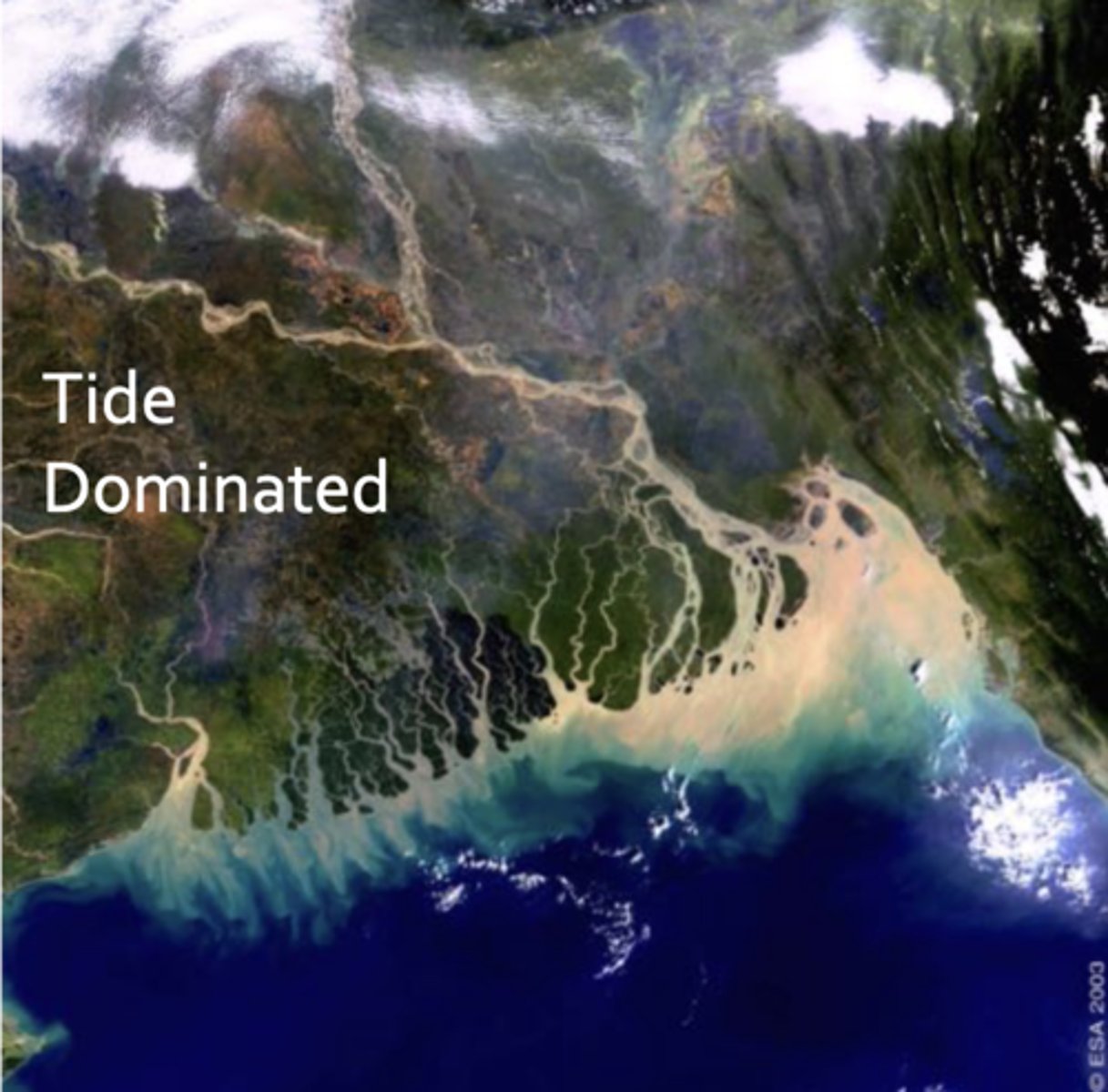 <p>ex: ganges brahmanputra river delta</p><p>lots of channels perpendicular to shoreline</p><p>reason is that there is a high tide range</p><p>tide is the most critical mechanism for sediment movement</p><p>tidal current velocity is greater than river current</p><p>redistribute sediment</p><p>linear ridges parallel to flow</p><p>grain size gradation</p>