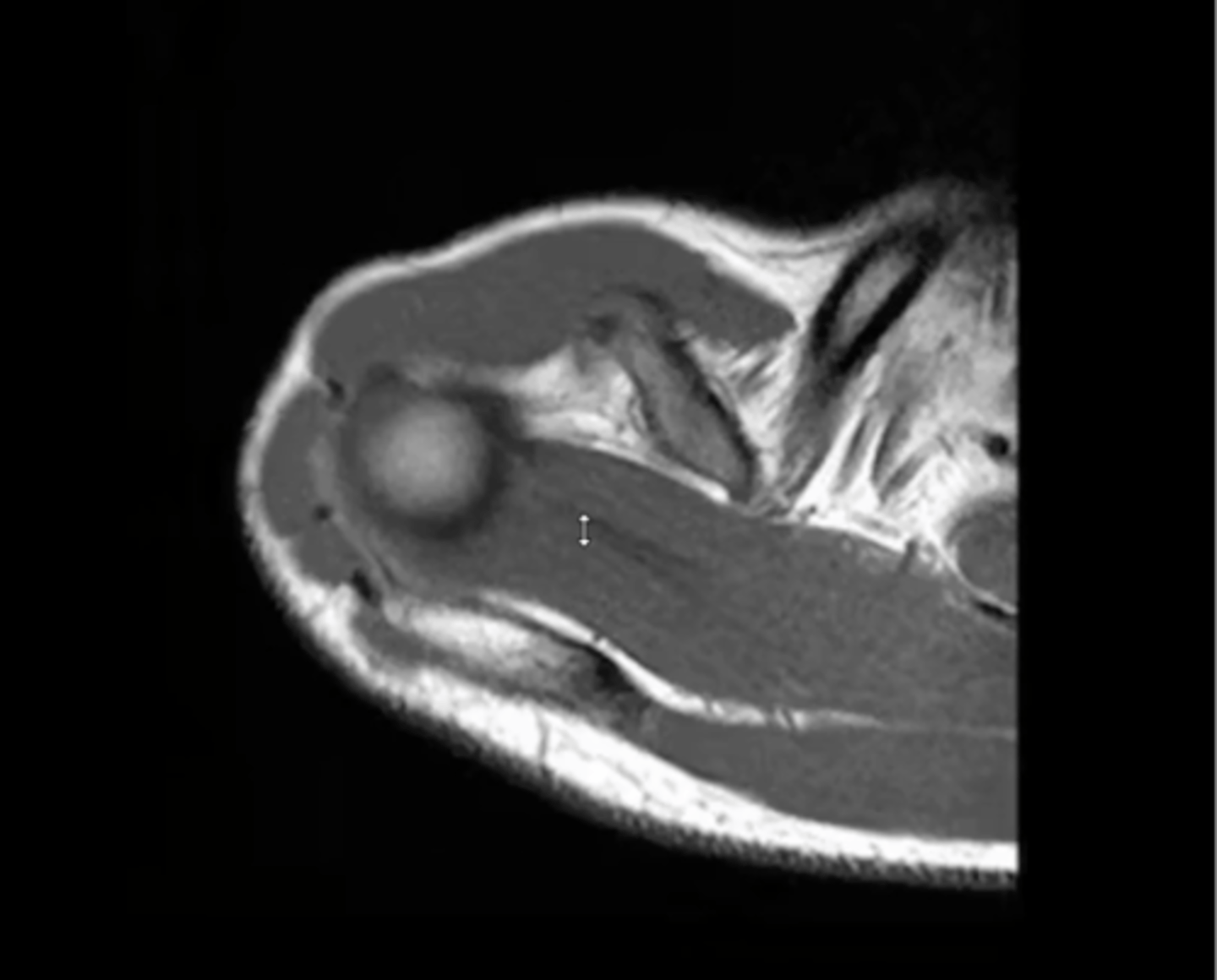 <p>What is this image depicting?</p>